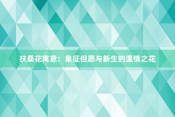 扶桑花寓意：象征但愿与新生的温情之花