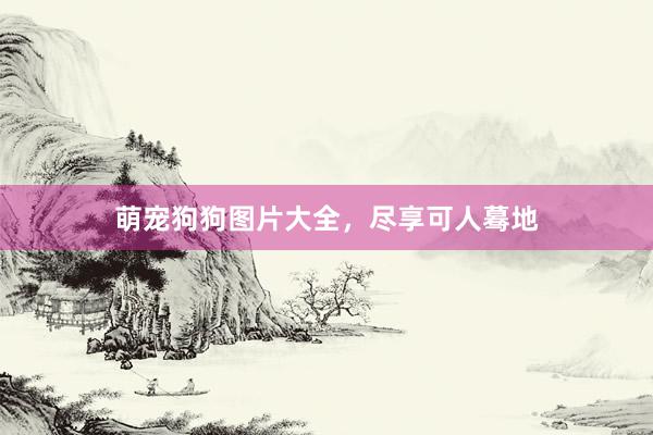 萌宠狗狗图片大全，尽享可人蓦地