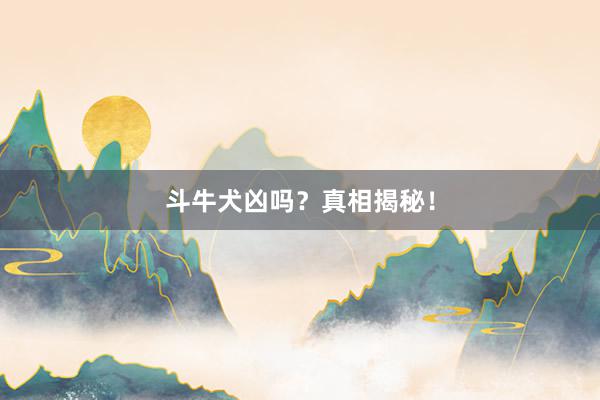 斗牛犬凶吗？真相揭秘！