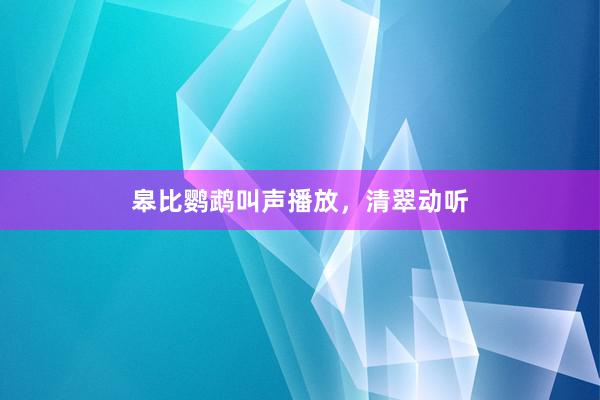 皋比鹦鹉叫声播放，清翠动听